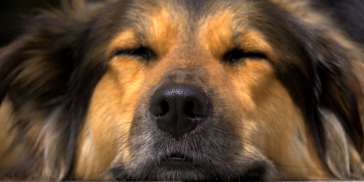 Biegaławet - Tak pracujemy…